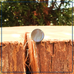 Luminous Pearl - Oorknopjes Perlmutt