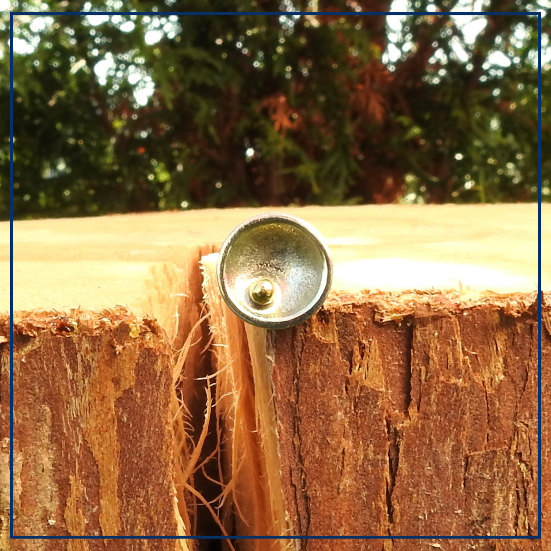 Celestia Duo - Gesmede Oorknopjes rond