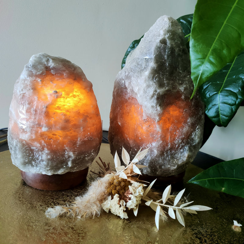Grijze zoutlamp
