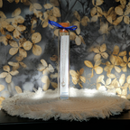 Elentari -  Zoetwaterparel