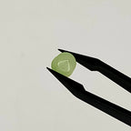 Agaat cab. kegel 7.7 x 6.7 mm | LE004