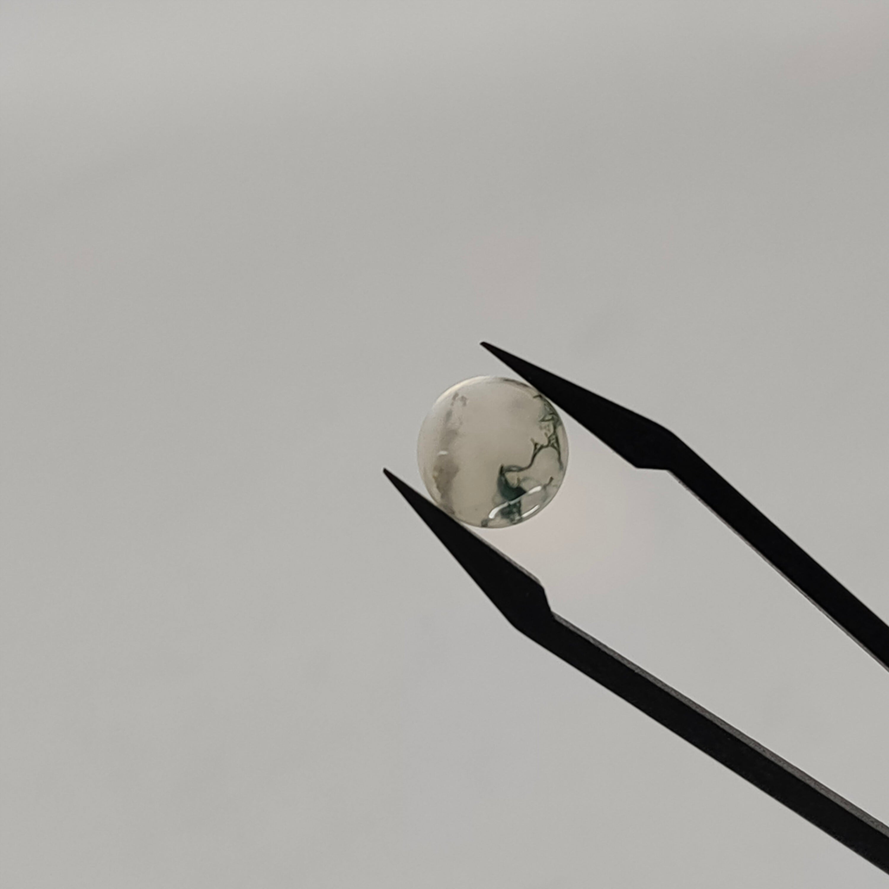 Mosagaat cab. rond 10x4.4 mm | LE008