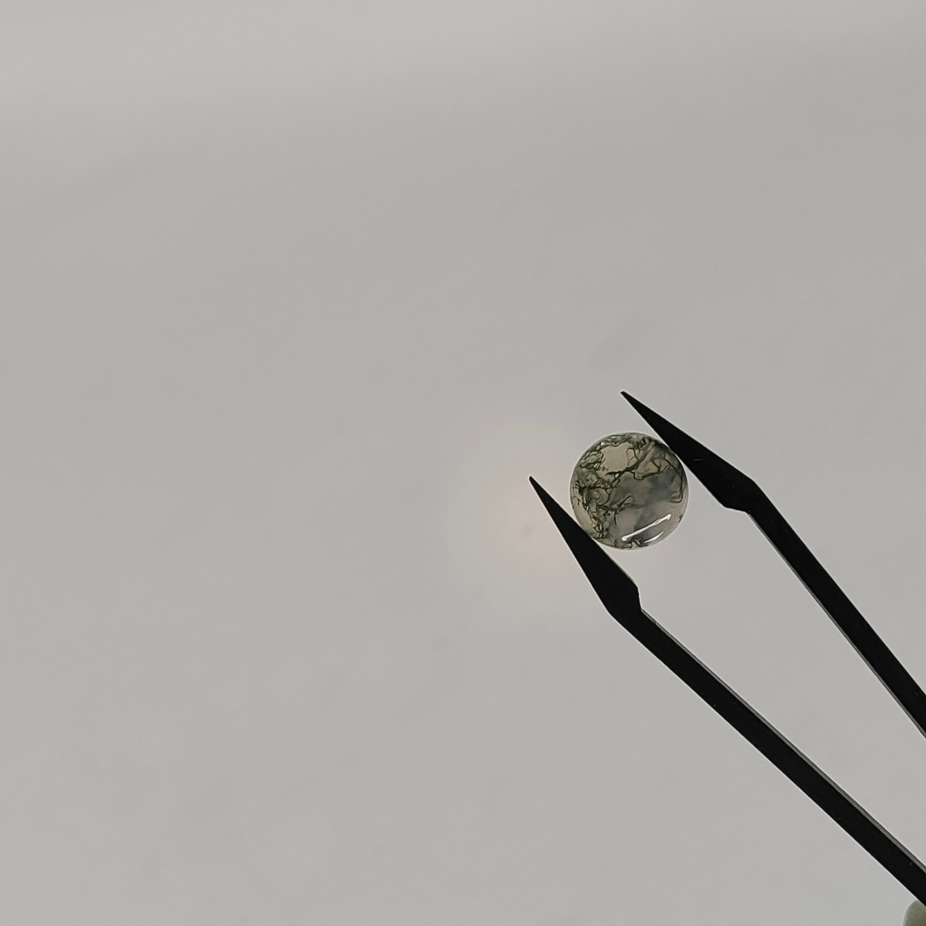 Mosagaat cab. rond 10x4.4 mm | LE009