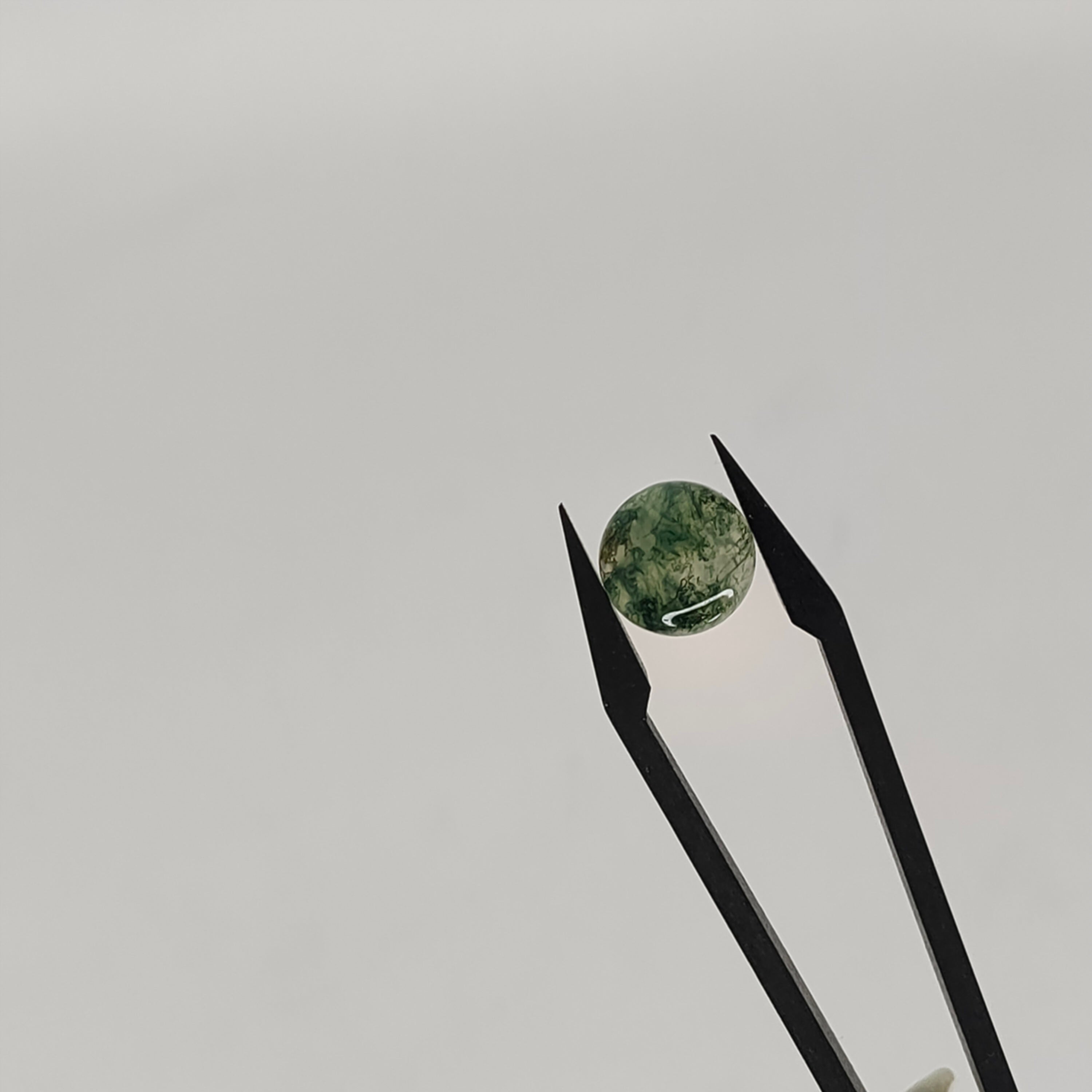 Mosagaat cab. rond 10x4.4 mm | LE019