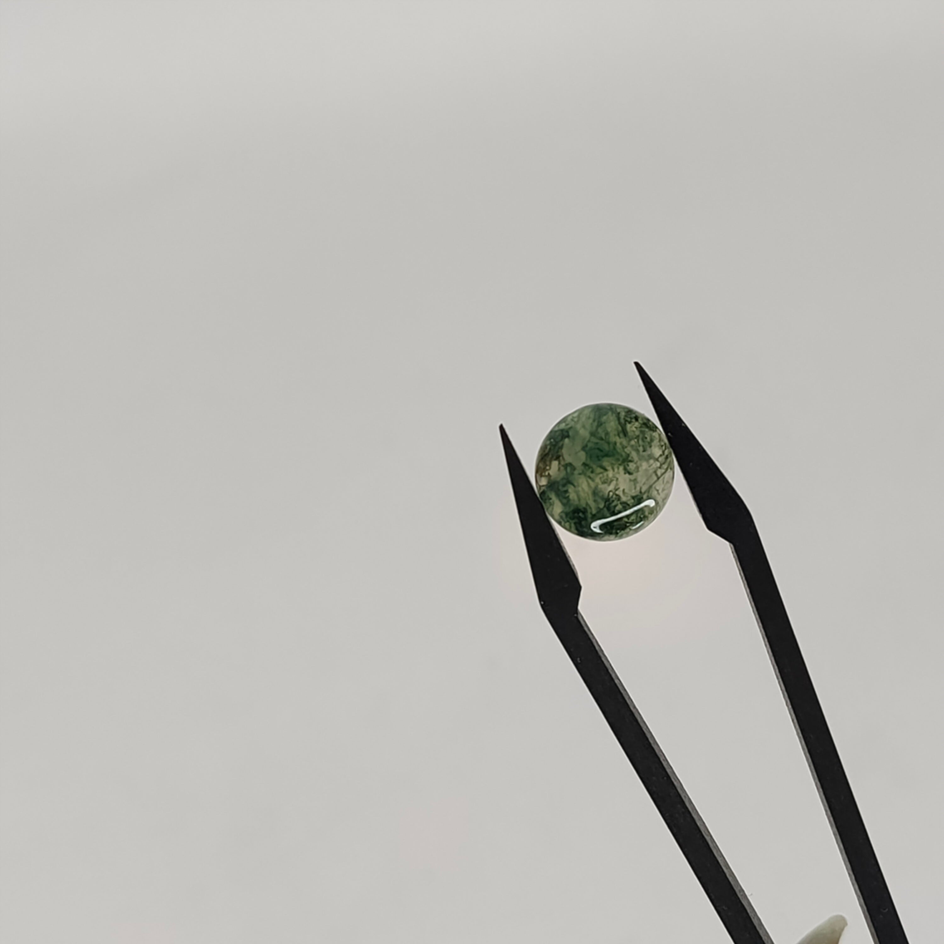 Mosagaat cab. rond 10x4.4 mm | LE019