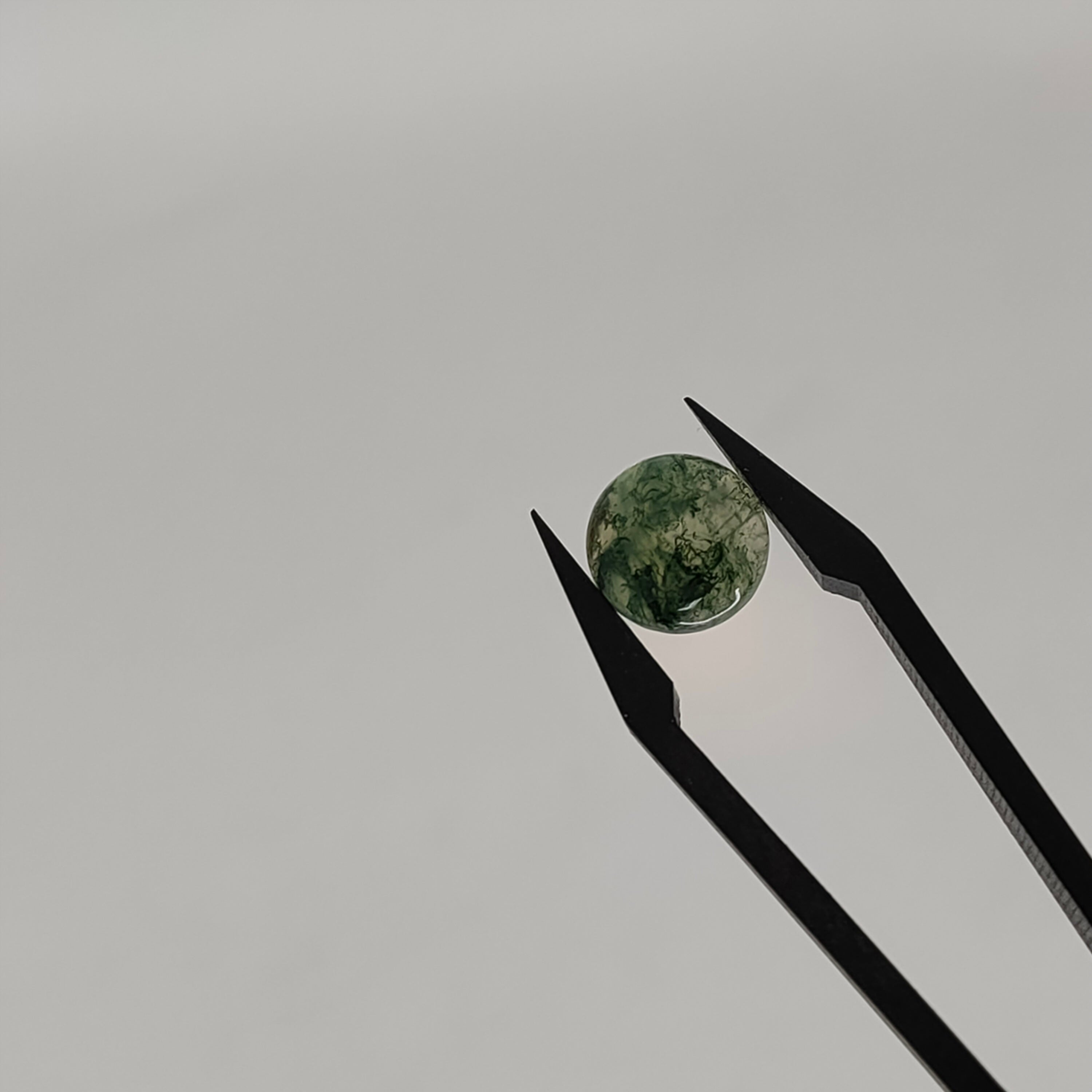 Mosagaat cab. rond 10x4.4 mm | LE019