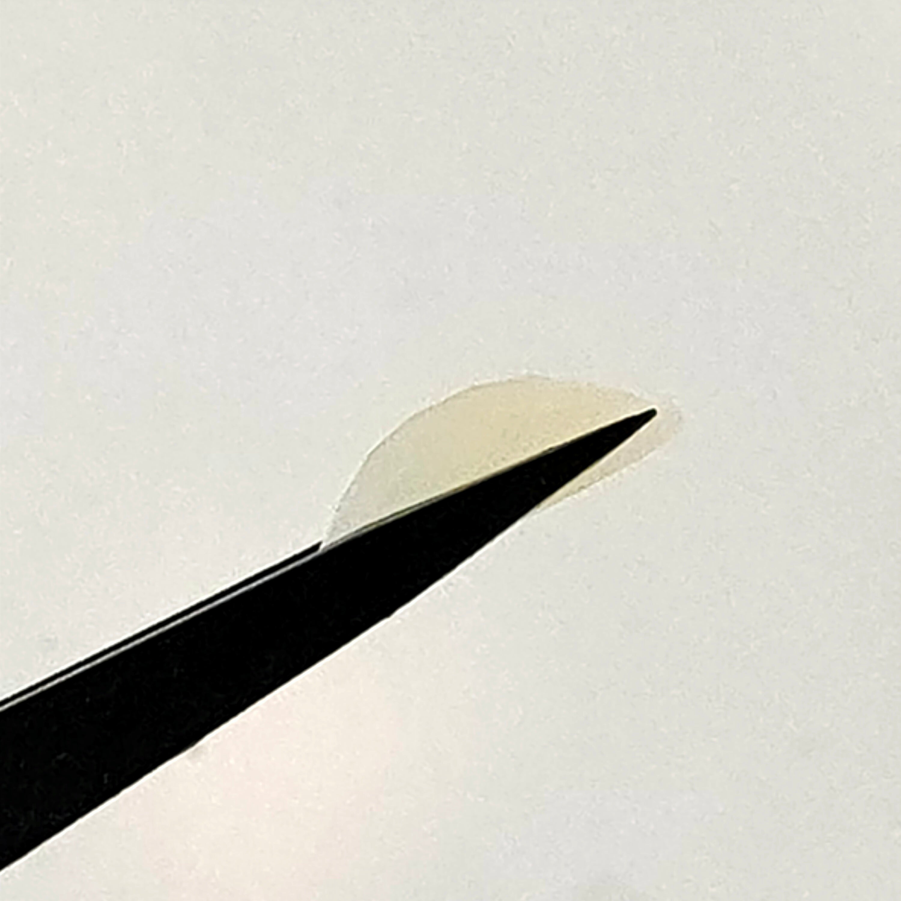 Agaat roos. ovaal 13x18x5.6 mm | LE0017