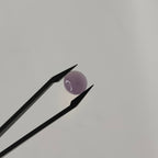 Agaat cab. rond 11.8x6 mm | LE0022