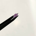 Agaat cab. rond 11.8x6 mm | LE0022