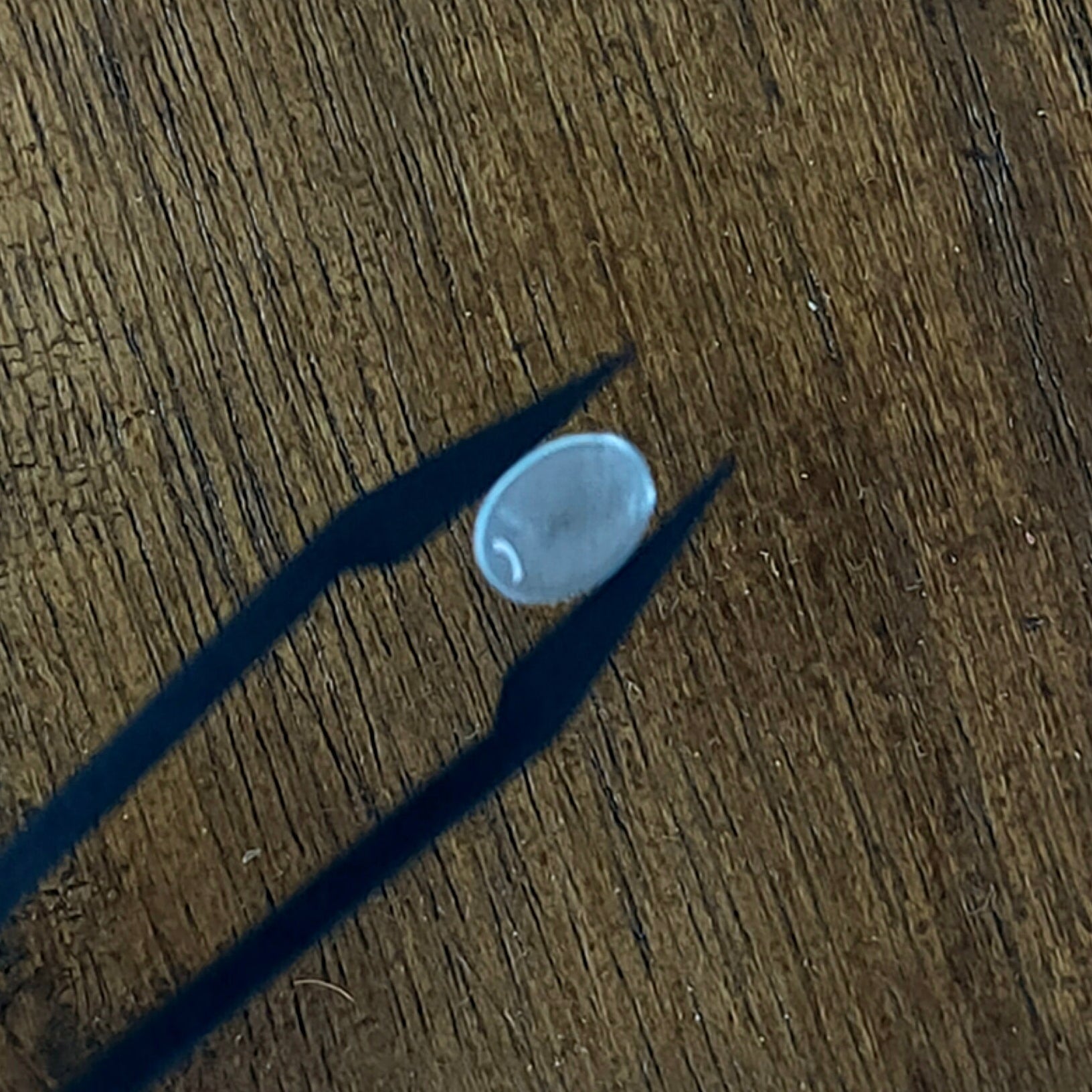 Aquamarijn 5.8x8x3.5 mm | cab. ovaal | LE0063