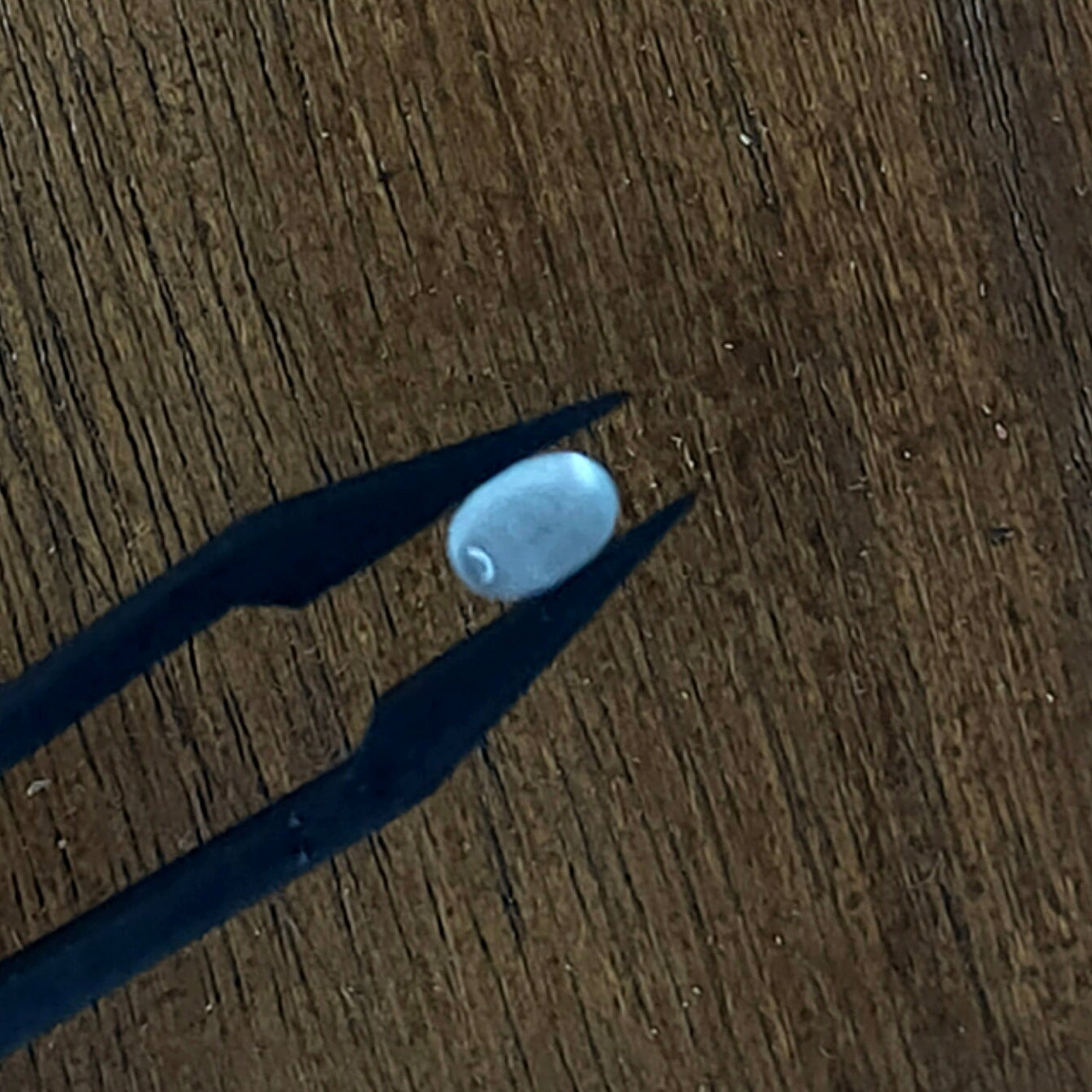 Aquamarijn 5.8x3.8x2.6 mm | cab. ovaal | LE0065