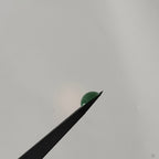 Aventurijn 11.8x5.6 mm | cab. rond | LE0071