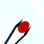 Carneool 13.2x18.3x5.9mm | cab. druppel | LE0096