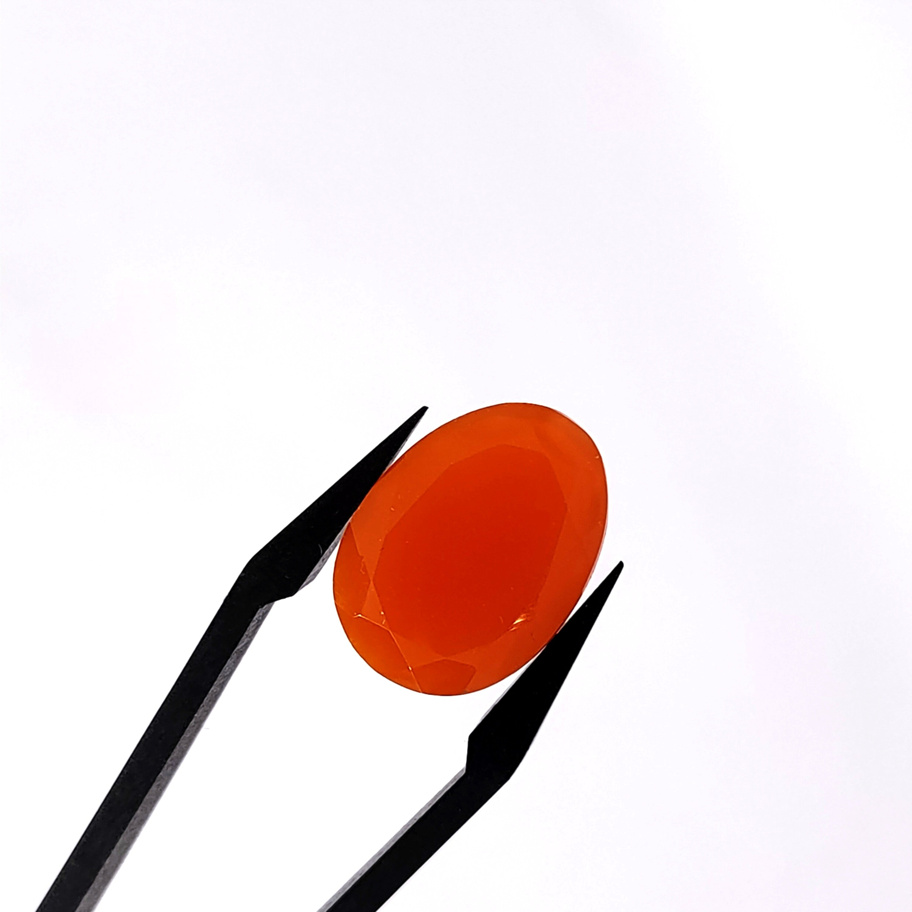 Carneool 13.2x18.3x5.9mm | gef. ovaal | LE0097