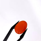 Carneool 13.2x18.3x5.9mm | gef. ovaal | LE0097