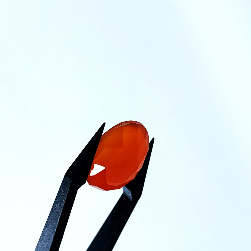 Carneool 13.2x18.3x5.9mm | gef. ovaal | LE0098