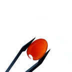 Carneool 13.2x18.3x5.9mm | gef. ovaal | LE0099