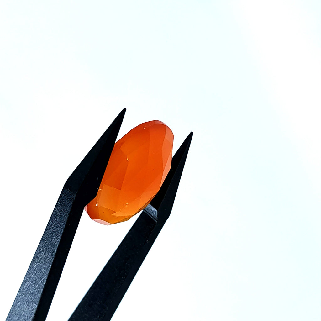 Carneool 13.2x18.3x5.9mm | gef. ovaal | LE0099