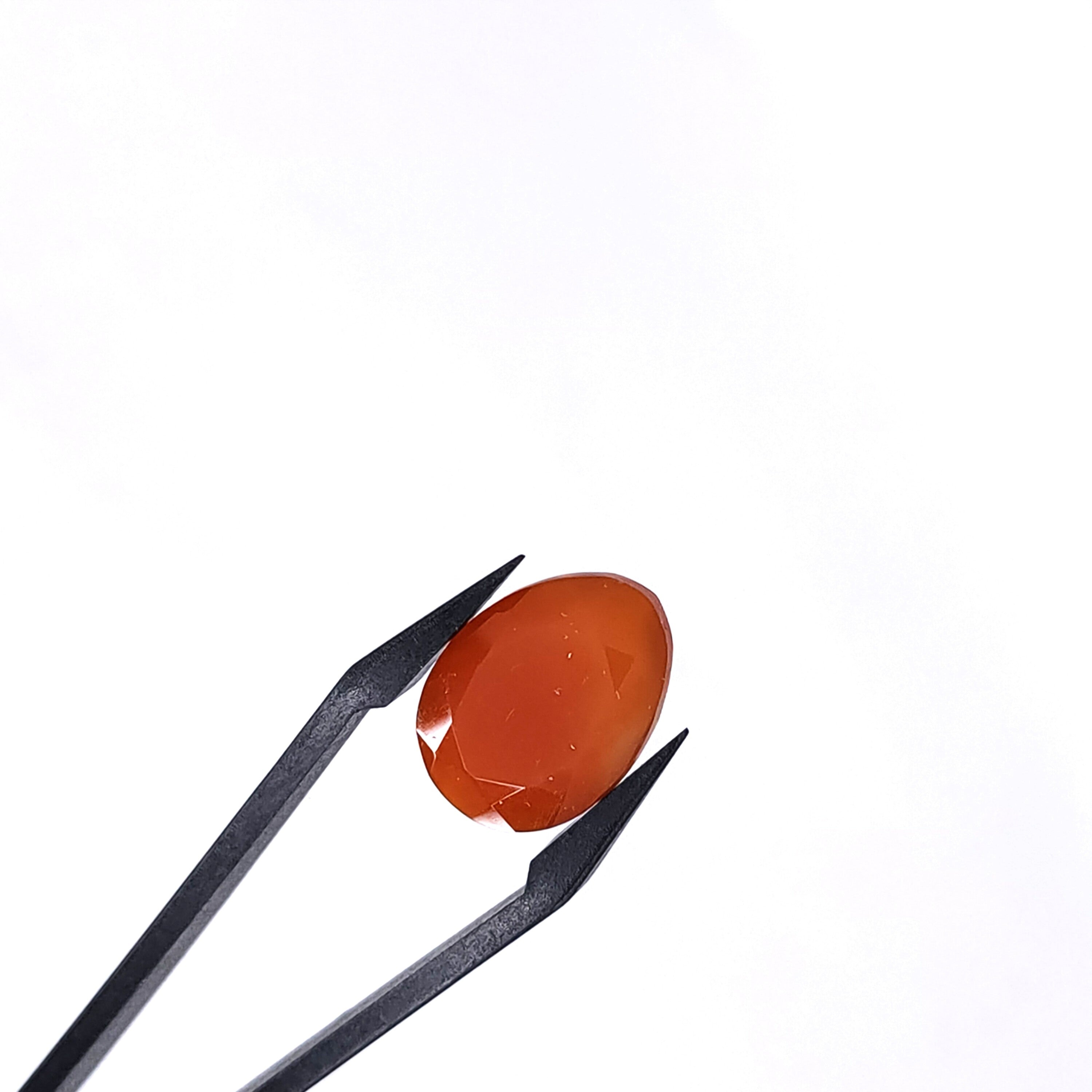 Carneool 13.2x18.3x6.8mm | gef. druppel | LE0101