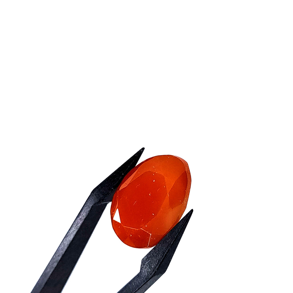 Carneool 13.2x18.3x6.8mm | gef. druppel | LE0101