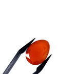 Carneool 13.2x18.3x6.8mm | gef. druppel | LE0101