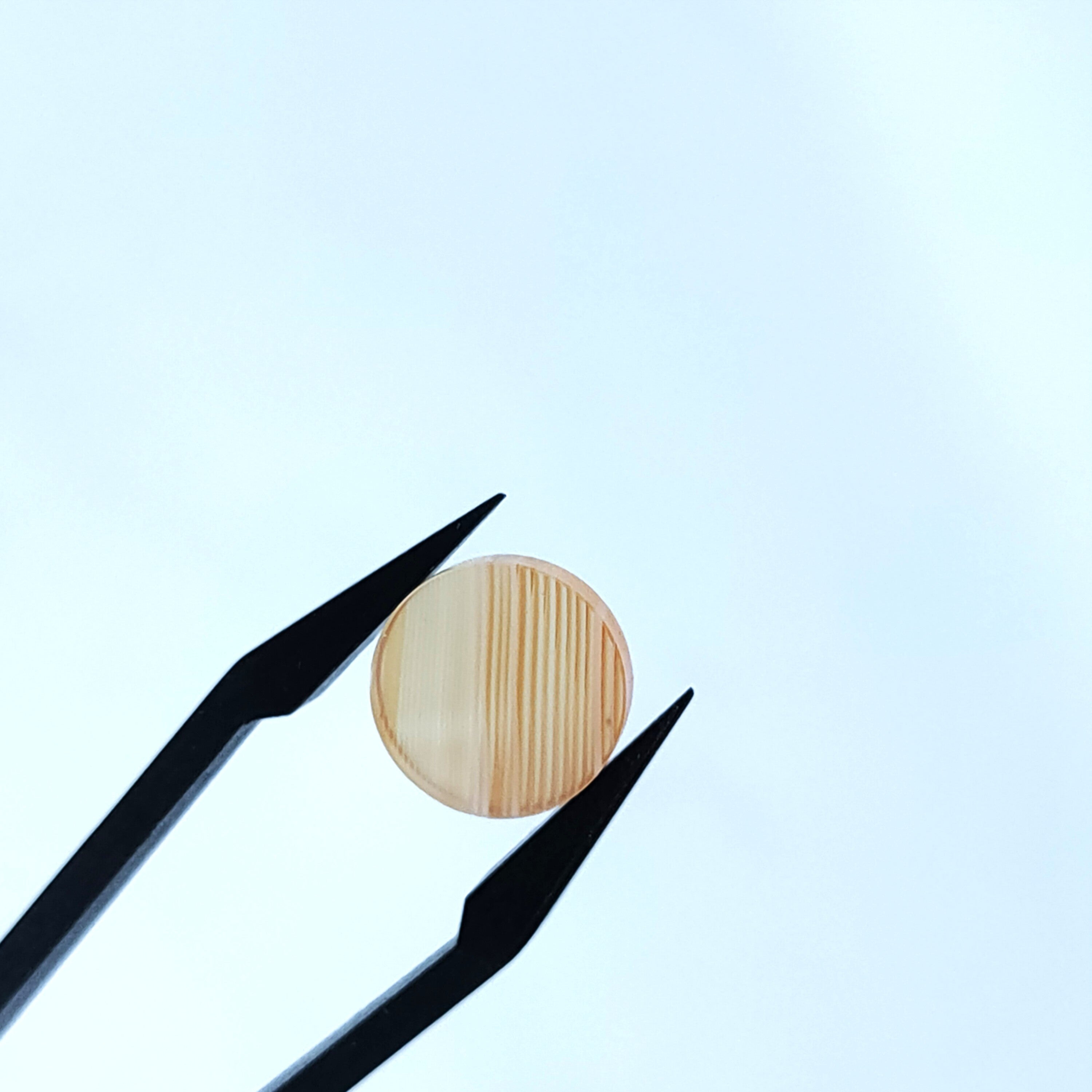 Carneool 11x2 mm | plaat rond | LE0104