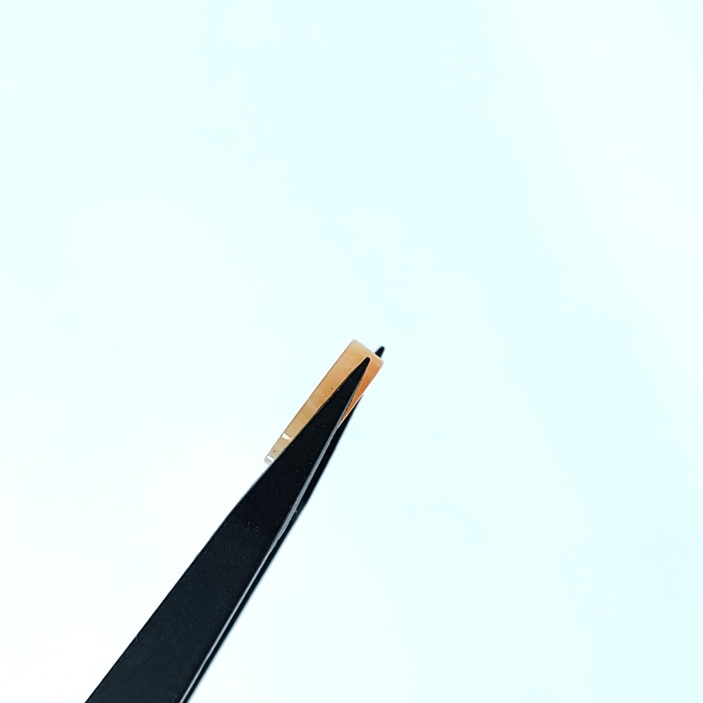 Carneool 11x2 mm | plaat rond | LE0104