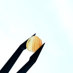 Carneool 11x2 mm | plaat rond | LE0104