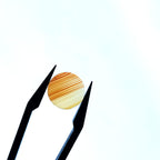 Carneool 11x2 mm | plaat rond | LE0104