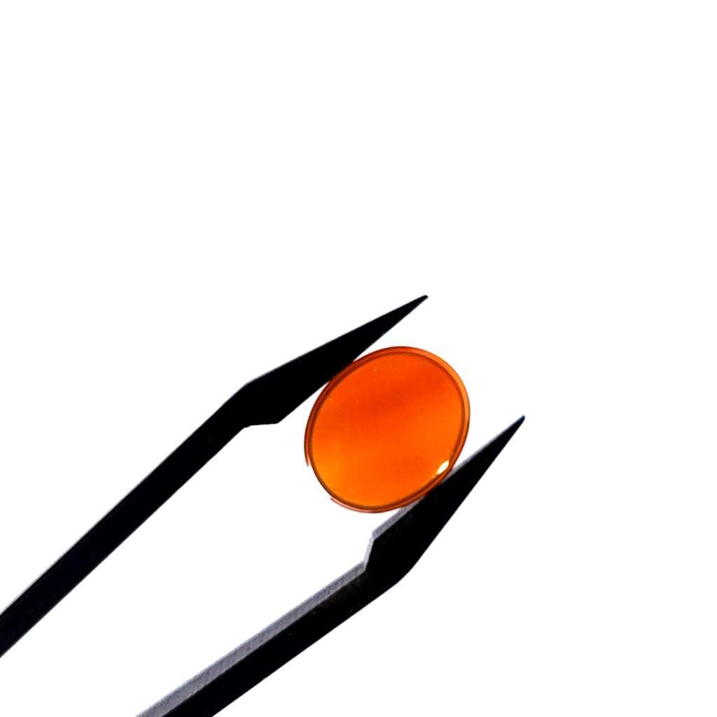 Carneool 10.1x12.2x2.4 mm | cab. ovaal | LE0107