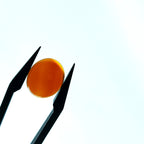 Carneool 10.1x12.2x2.4 mm | cab. ovaal | LE0107