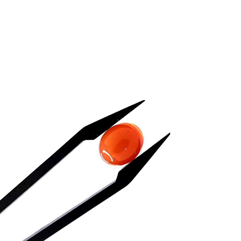 Carneool 8.3x10.2x4.2 mm | cab. ovaal | LE0110