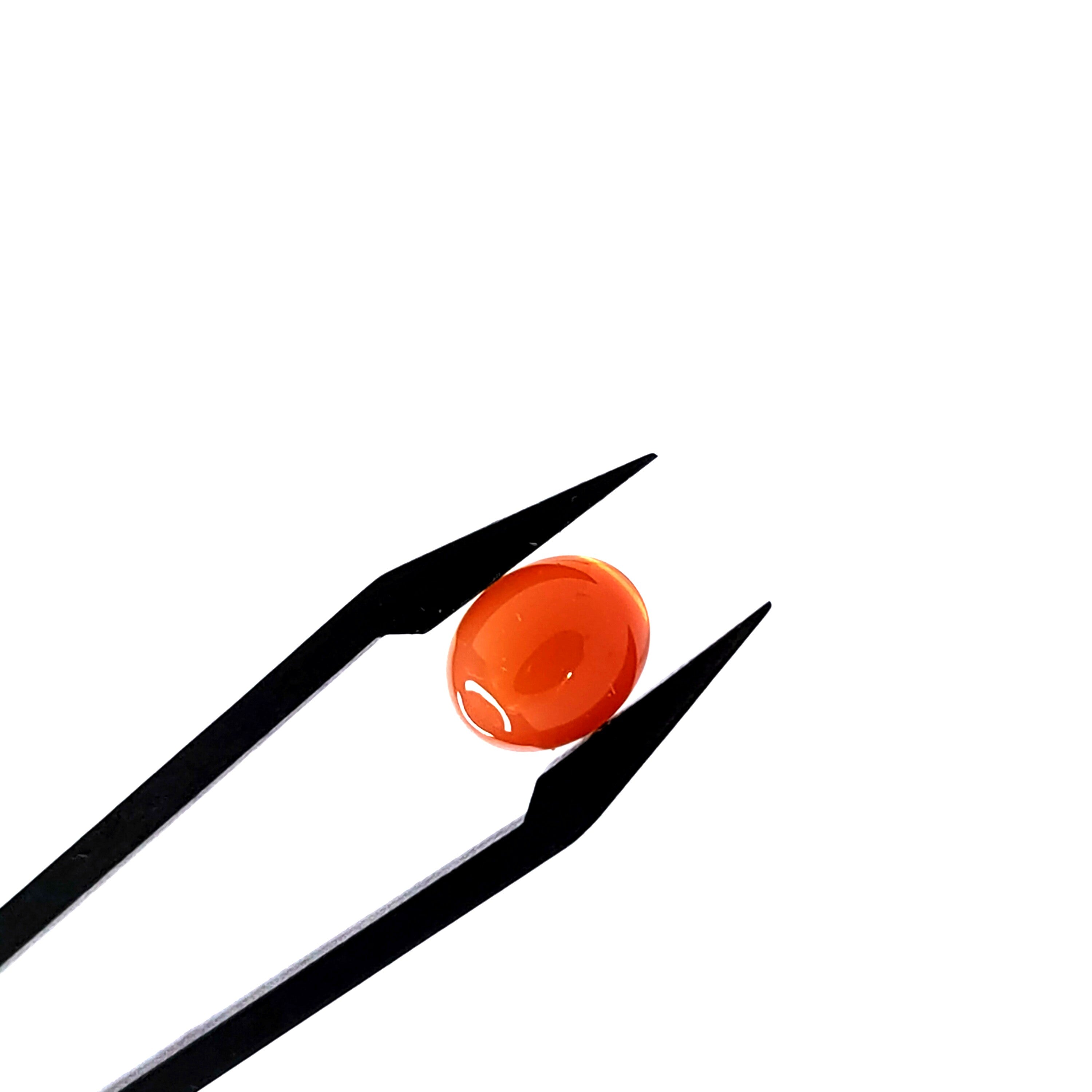 Carneool 8.3x10.2x4.2 mm | cab. ovaal | LE0110