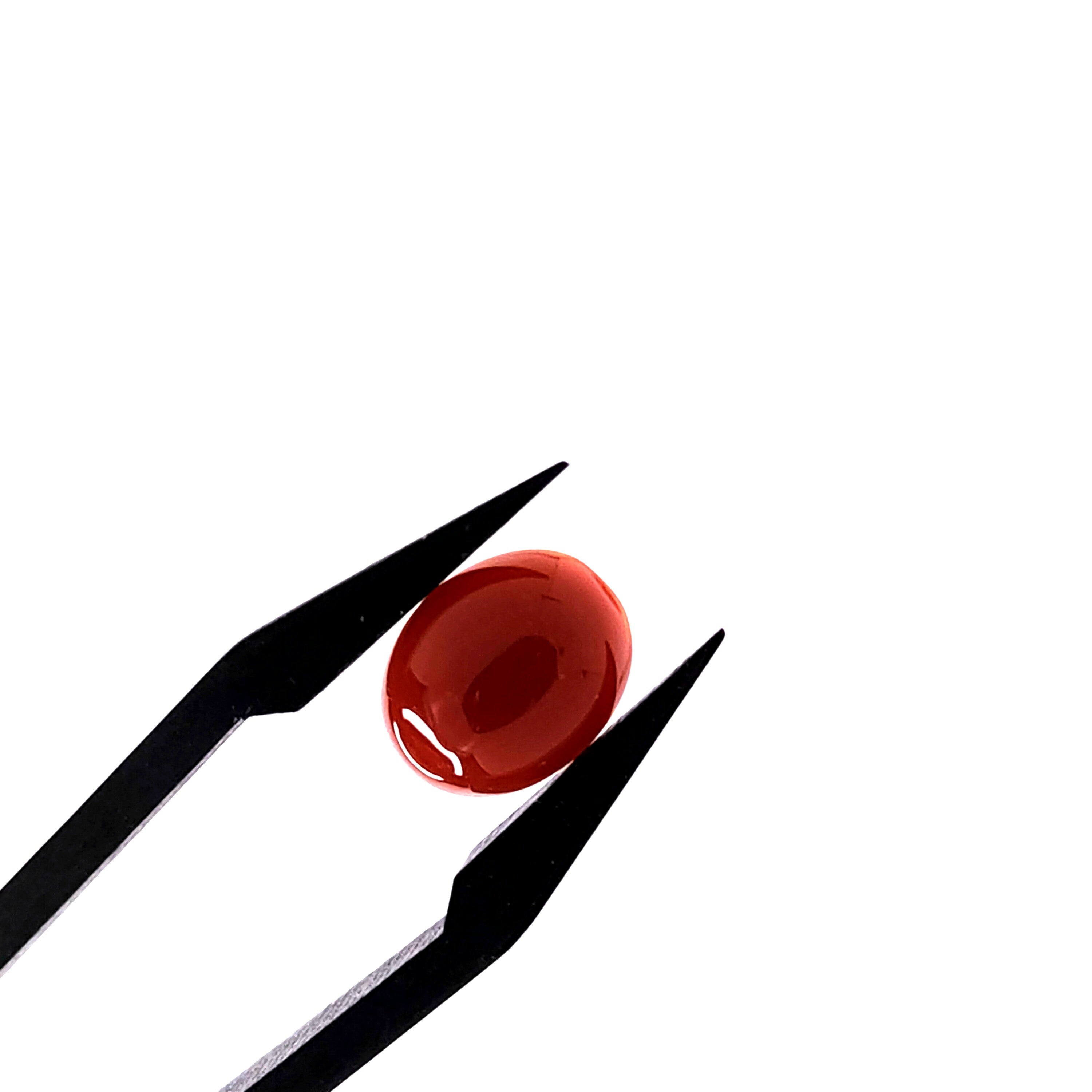 Carneool 8.1x10x4.2 mm | cab. ovaal | LE0111