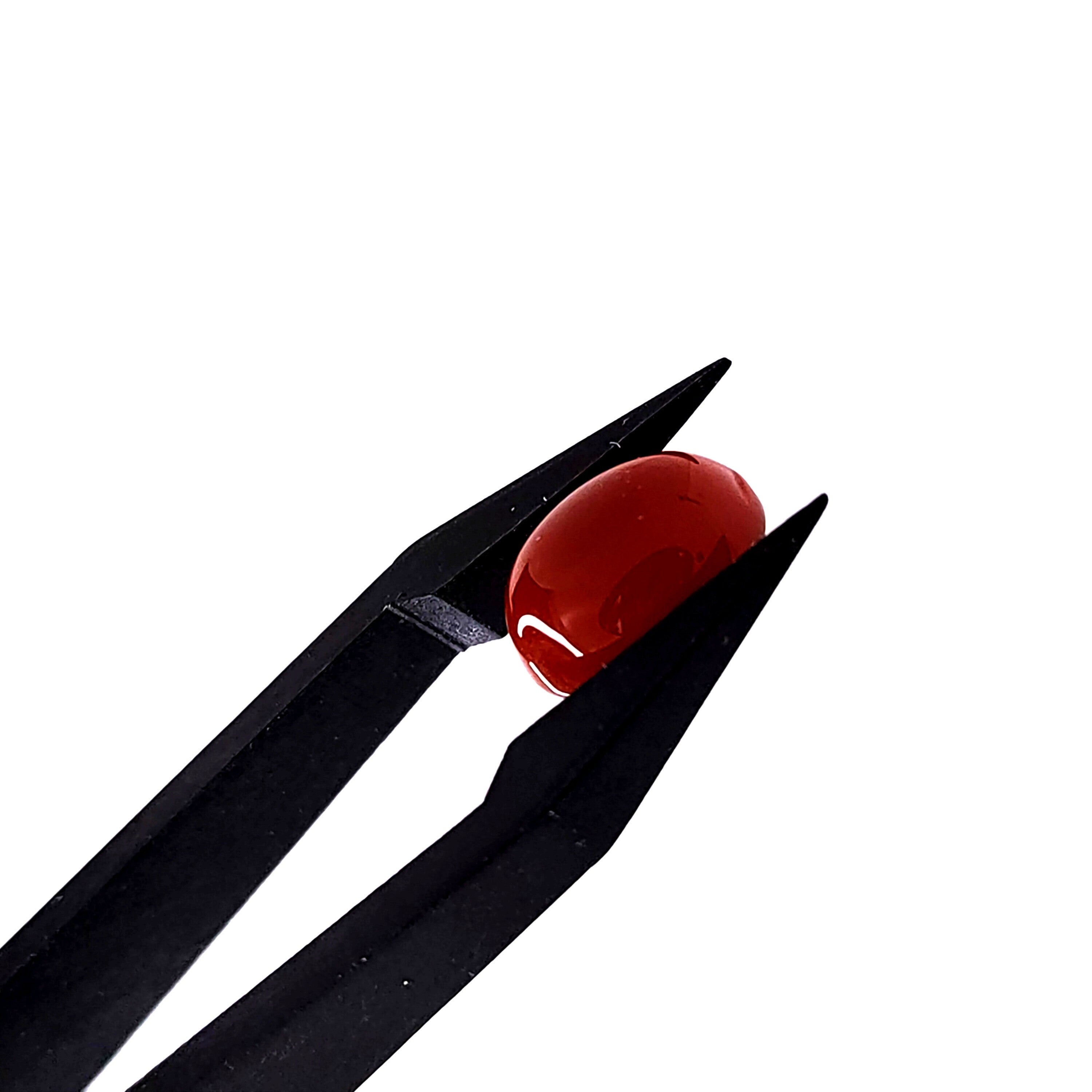 Carneool 8.1x10x4.2 mm | cab. ovaal | LE0111