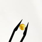 Citrien 7x3.9 mm | gef. rond | LE0118