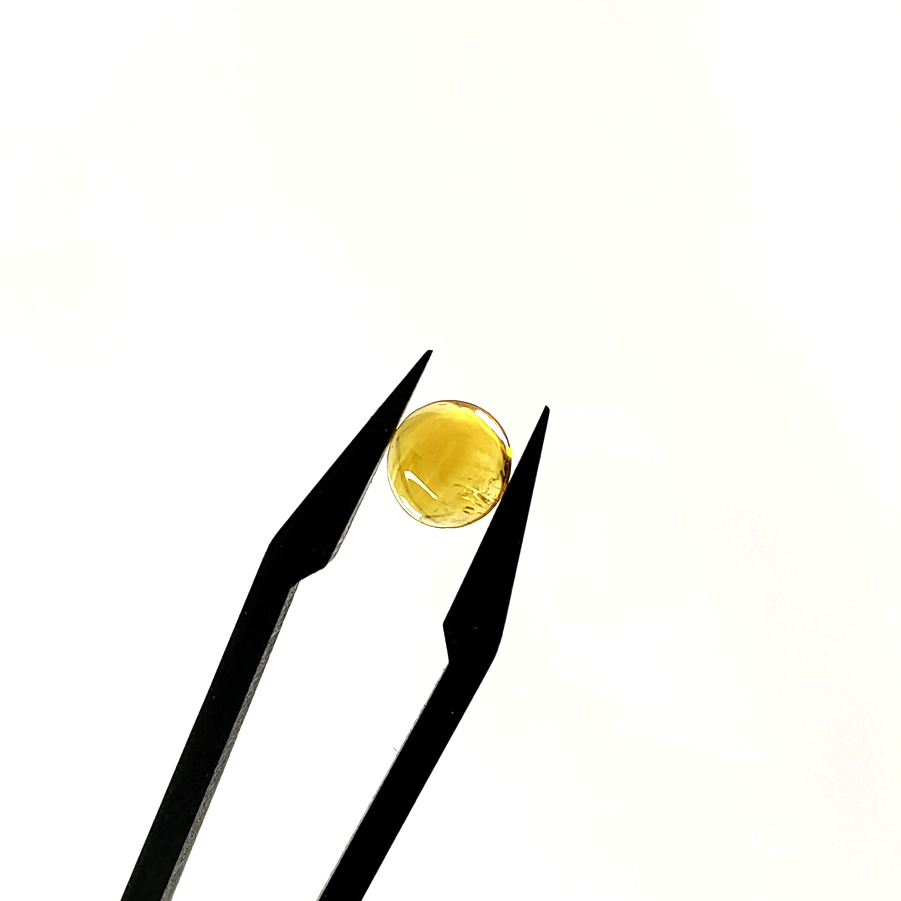 Citrien 7x3.3 mm | cab. rond | LE0121