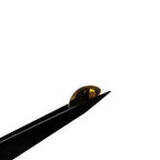 Citrien 11.6x15.4x8.2 mm | cab. ovaal | LE0144