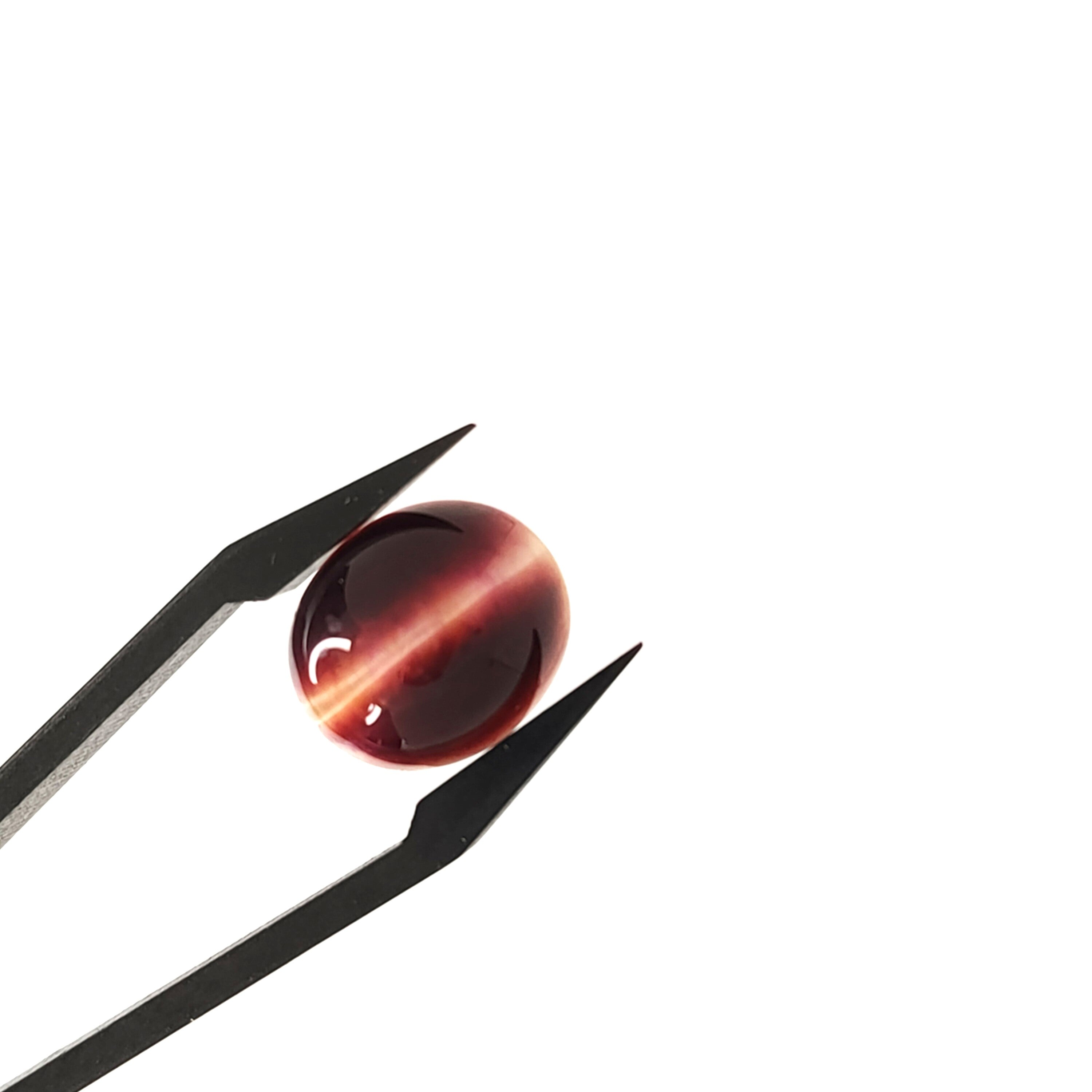 Tijgeroog 12.2x14.1x6.3  | cab. ovaal | LE0182