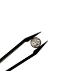 Tourmalijnkwarts 8.3x3.5 | cab. rond | LE0191