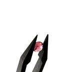 Tourmalijn 5.2X3.7 mm | gef. rond | LE0214 | SAMPLE