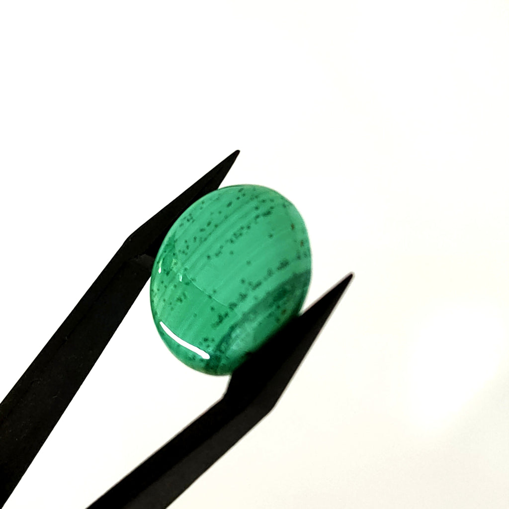 Malachiet 17.7x4 mm | cab. rond  | LE426