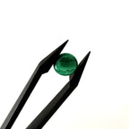 Malachiet 8.3x4.4 mm | freeform rond  | LE425