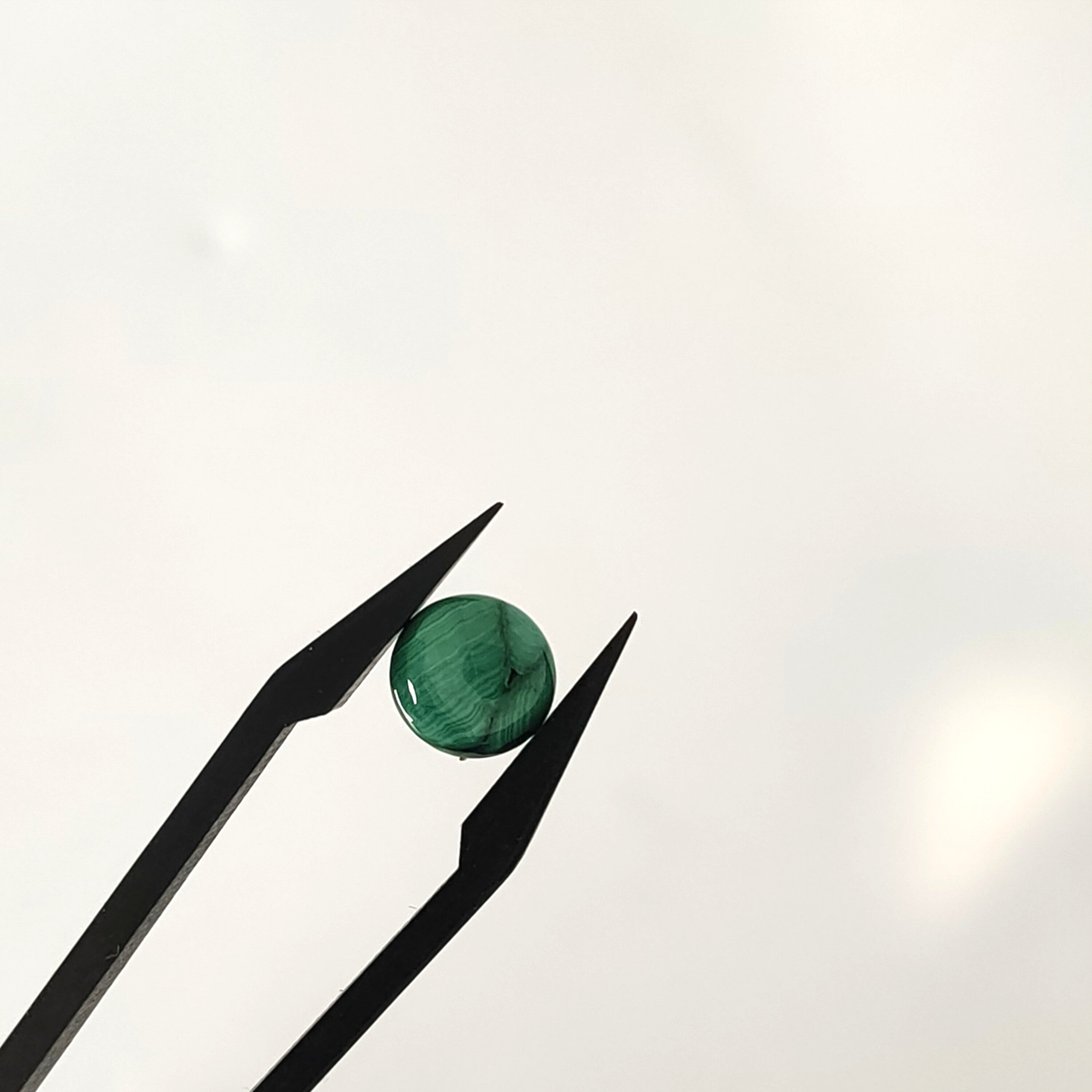 Malachiet 8.3x4.4 mm | freeform rond  | LE424