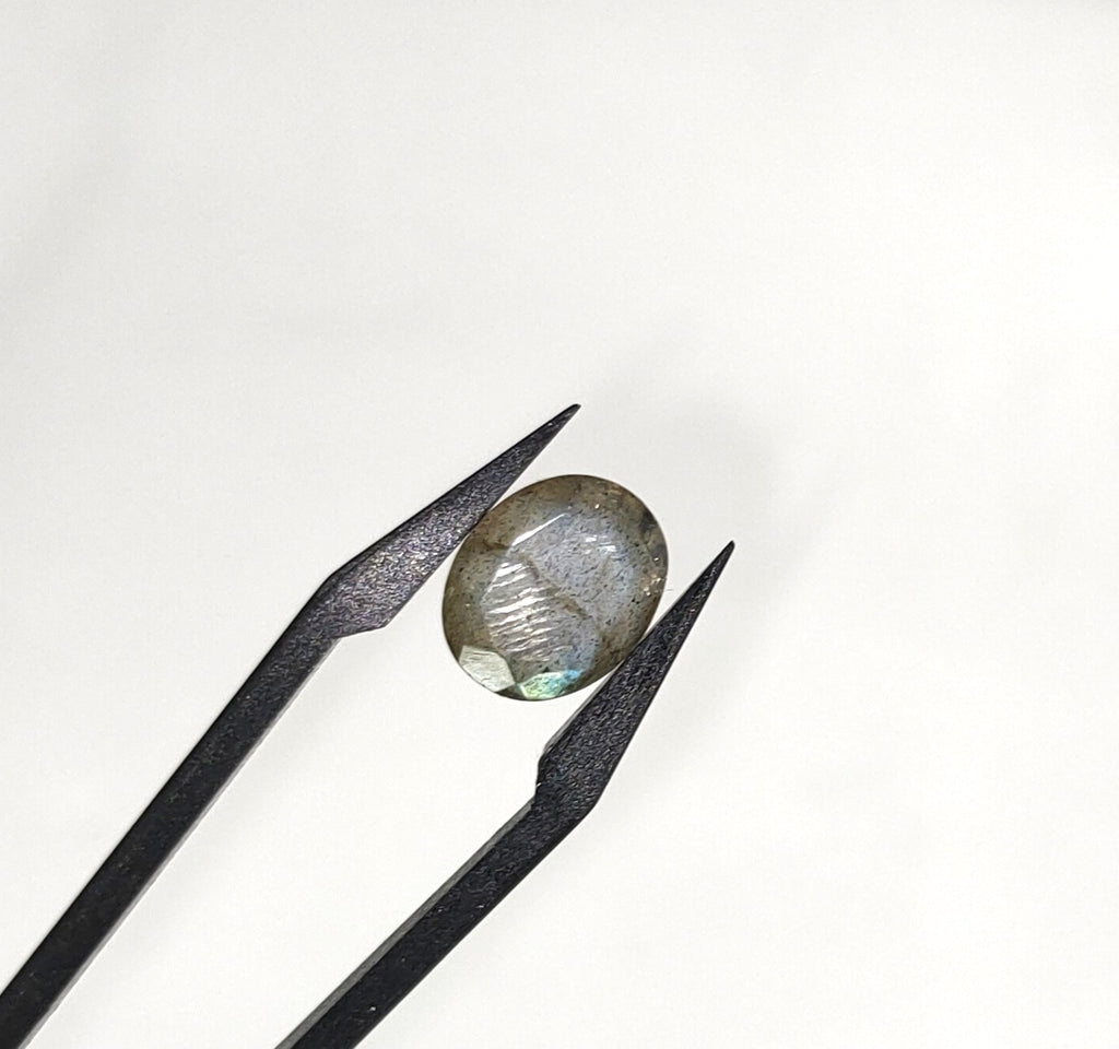Labradoriet | 9x11.2x5.4 mm | gef. ovaal | LE374