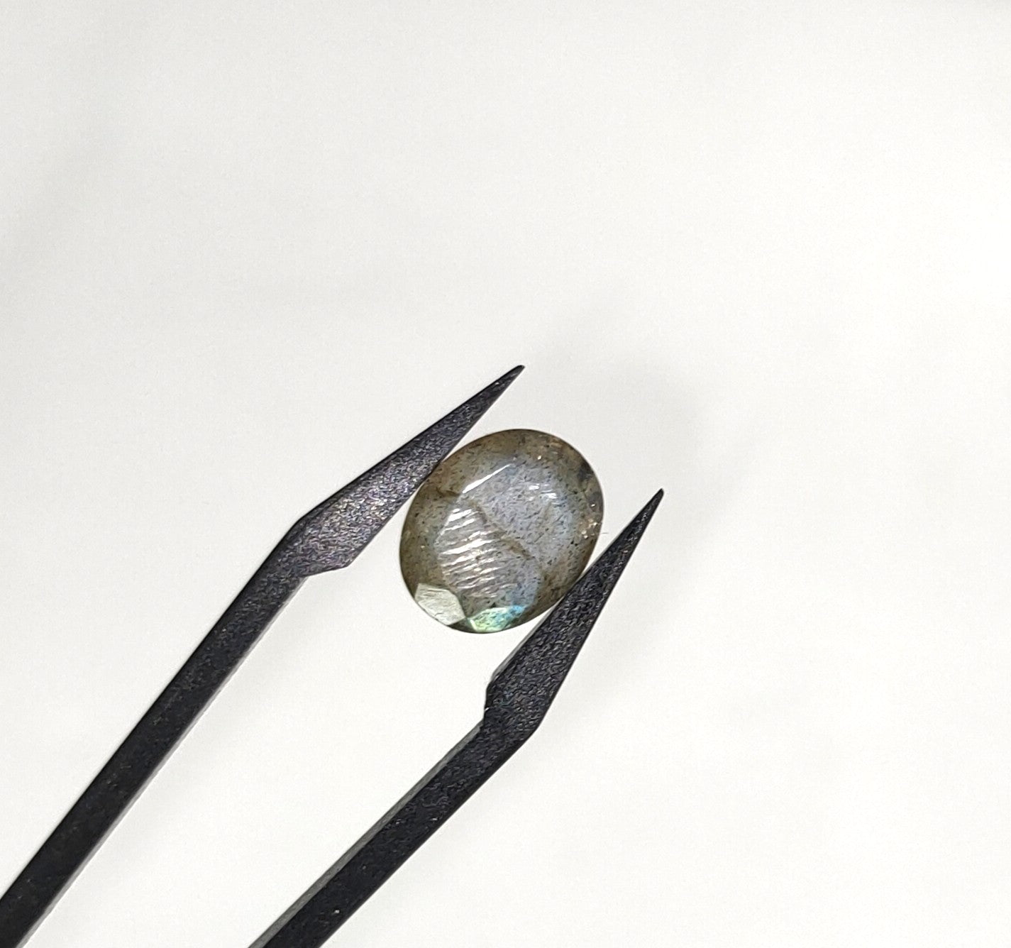 Labradoriet | 9x11.2x5.4 mm | gef. ovaal | LE374