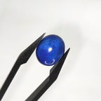 Lapis Lazuli | 10x12x5.4 mm | cab. ovaal | LE382