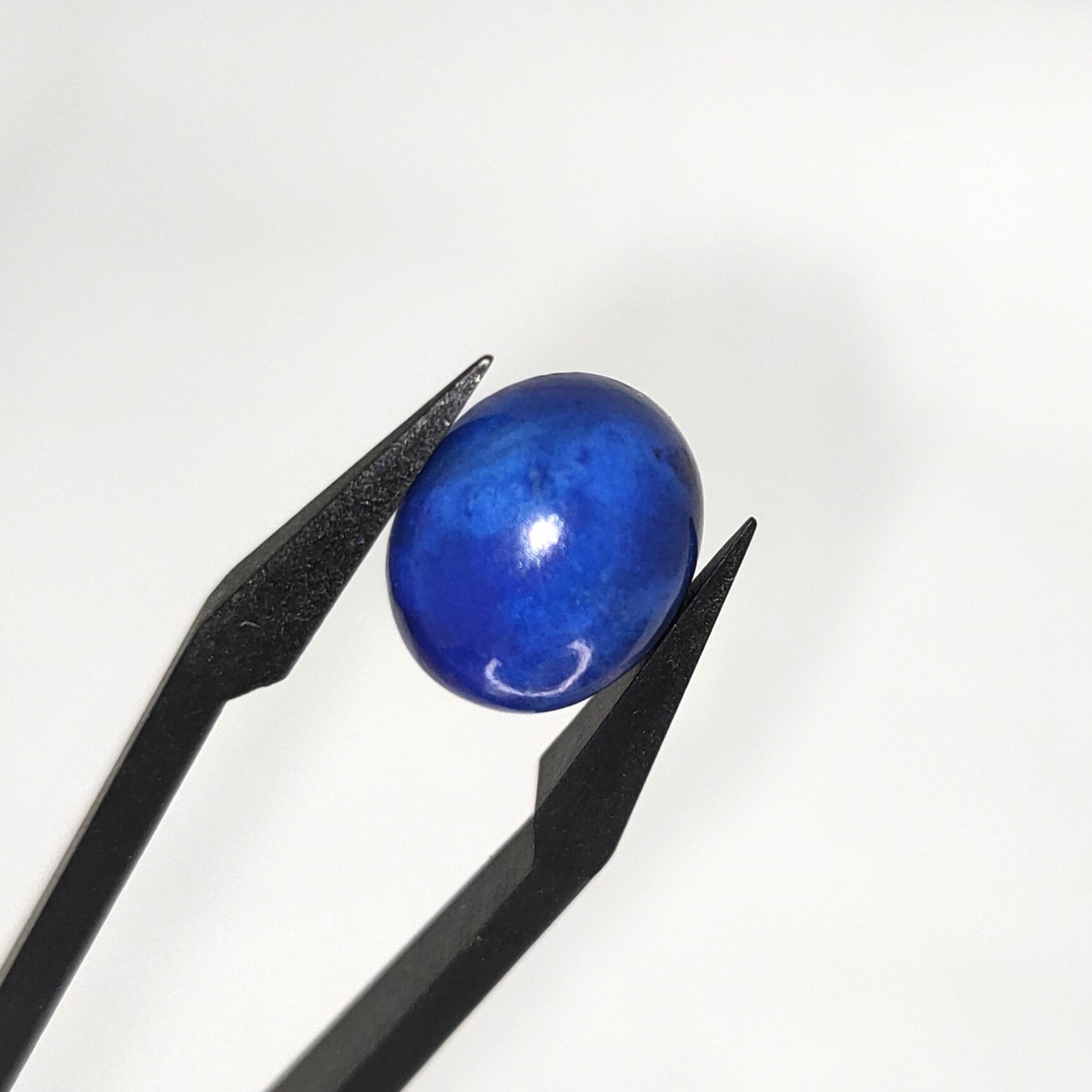Lapis Lazuli | 10x12x5.4 mm | cab. ovaal | LE382