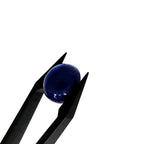 Lapis Lazuli | 10.2x12.2x6.4 mm | cab. ovaal | LE383