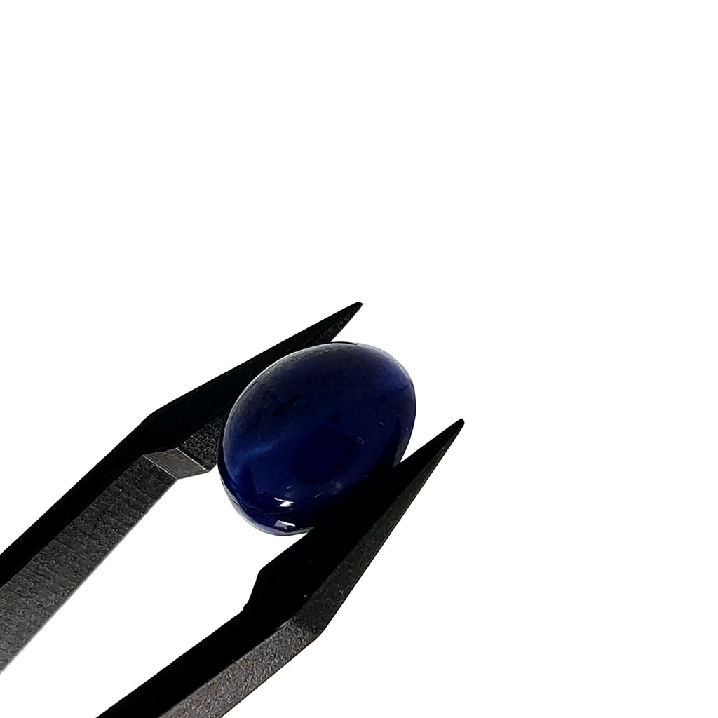 Lapis Lazuli | 10x12x5.4 mm | cab. ovaal | LE386